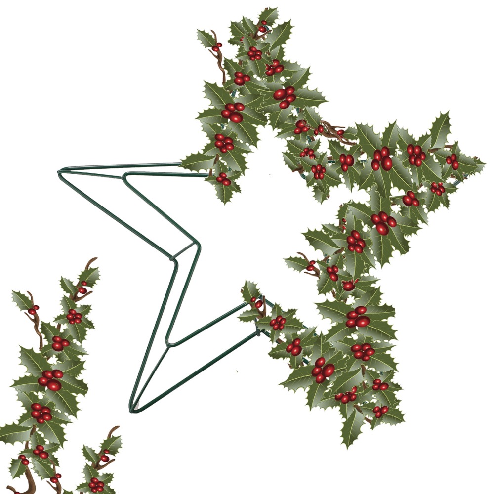 Personalizable Metal Wire Star - Wreath Form Wire avis et prix