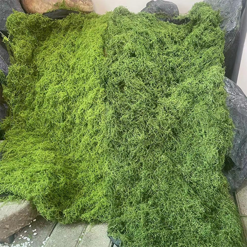 Artificial Preserved Moss Mat  - Preserved Moss Sheet avis et prix