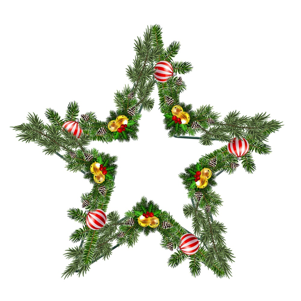 Floral Crafts Metal Wire Star  - Wreath Form Wire avis et prix