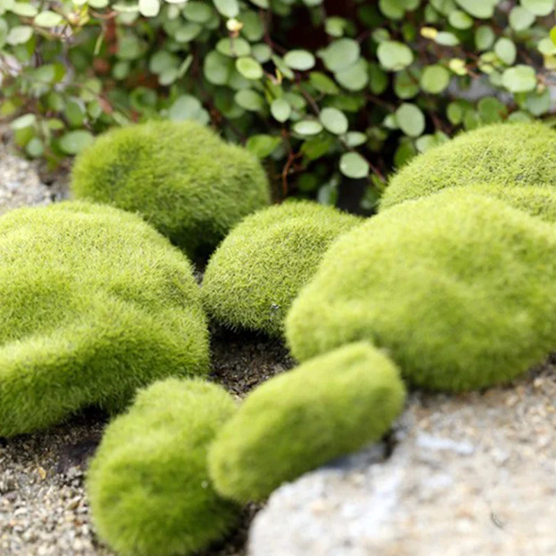 Artificial Moss Grass Micro La - Preserved Moss Sheet avis et prix