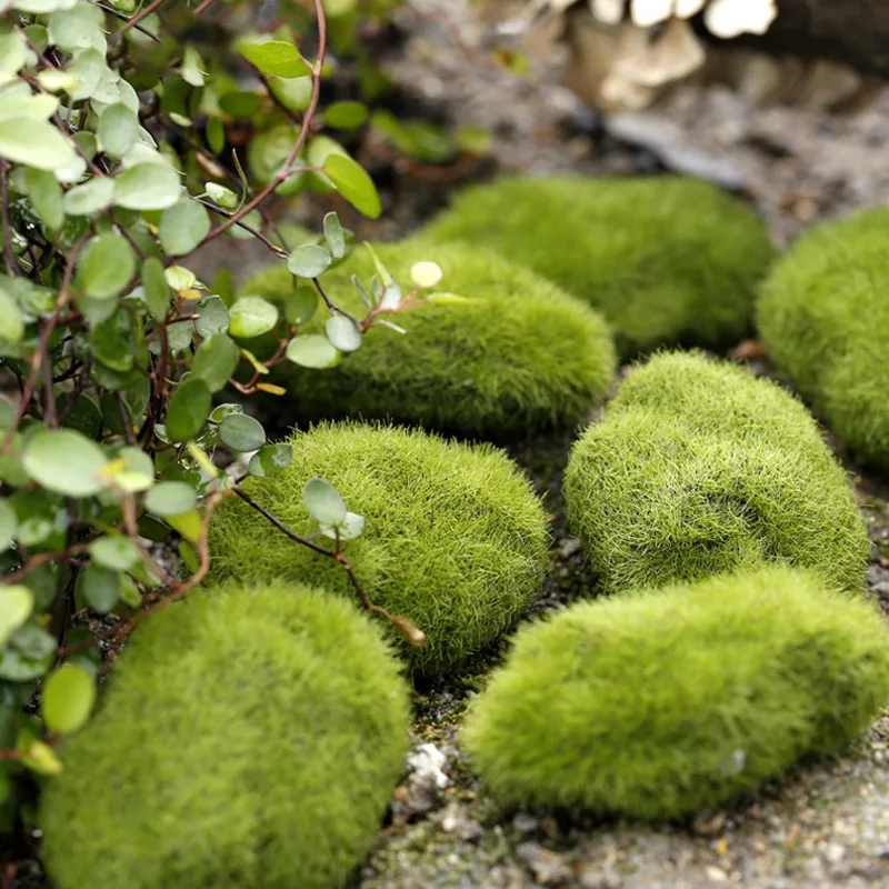 Artificial Moss Grass Micro La - Preserved Moss Sheet avis et prix