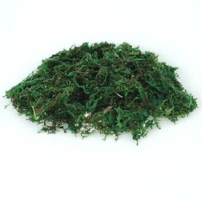 1Pack Artificial Preserved Dec - Preserved Moss Sheet avis et prix