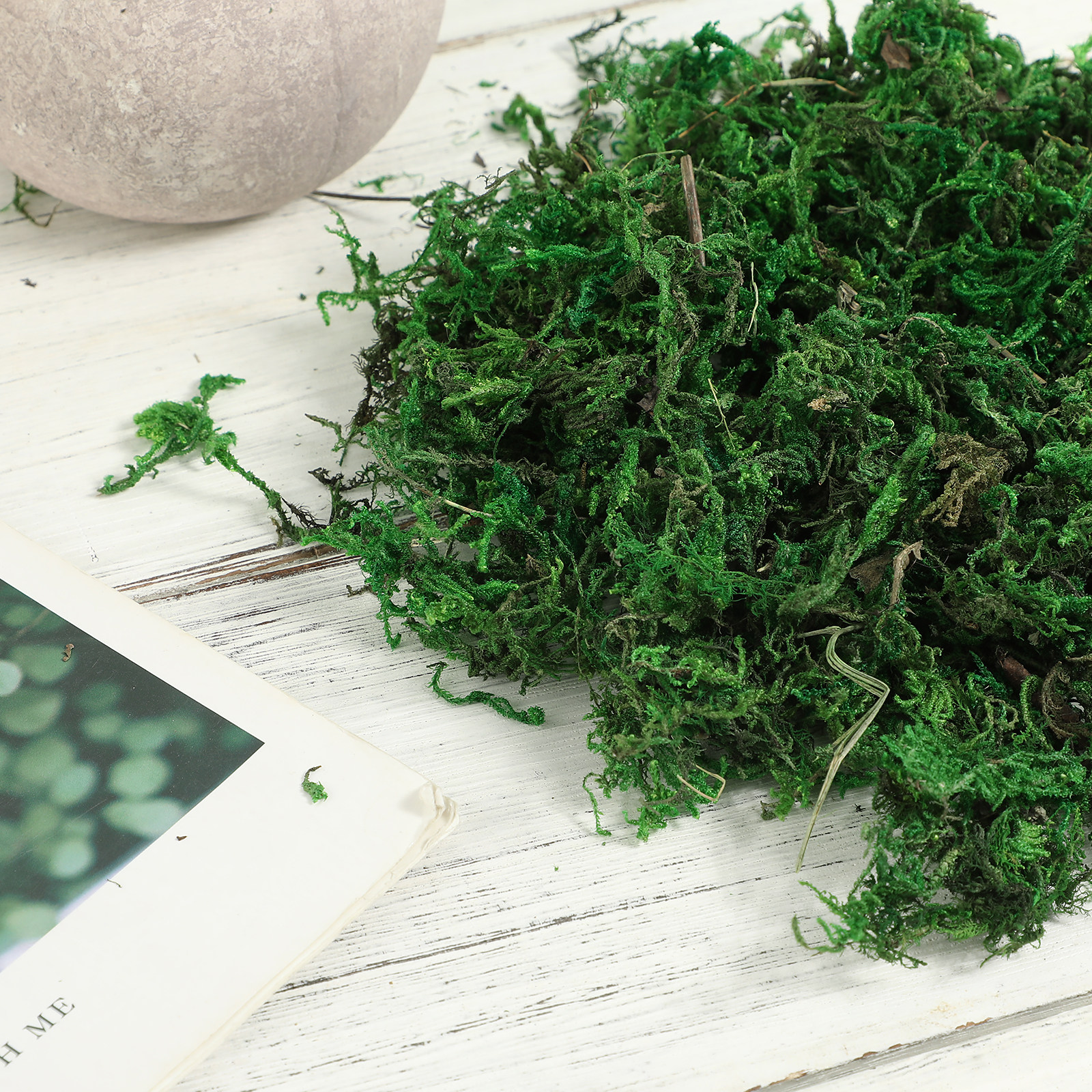 1Pack Artificial Preserved Dec - Preserved Moss Sheet avis et prix