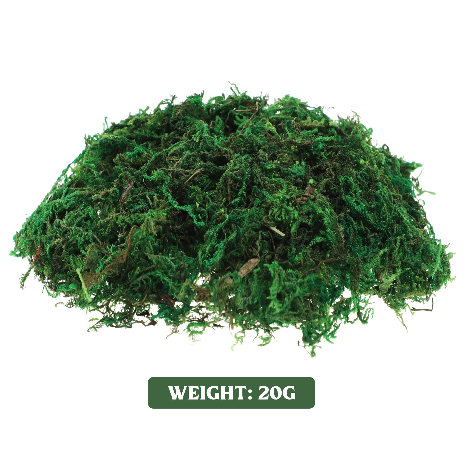1Pack Artificial Preserved Dec - Preserved Moss Sheet avis et prix