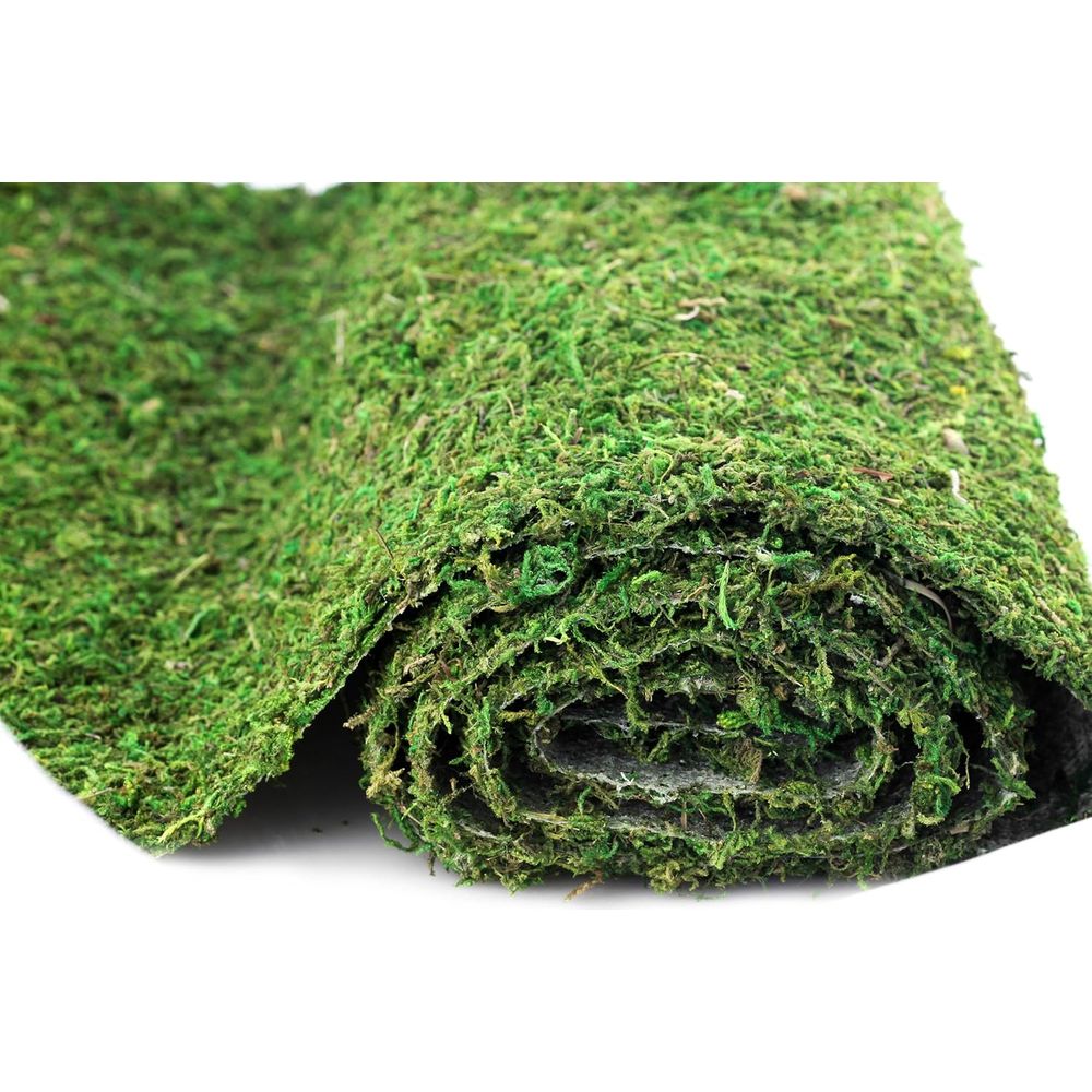 Preserved Moss Sheet - 3ft x 2 - Preserved Moss Sheet avis et prix