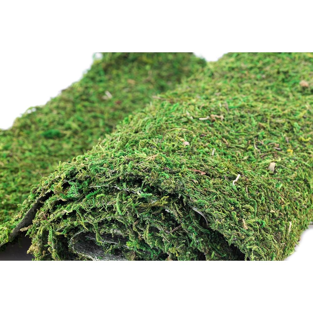 Preserved Moss Sheet - 3ft x 2 - Preserved Moss Sheet avis et prix